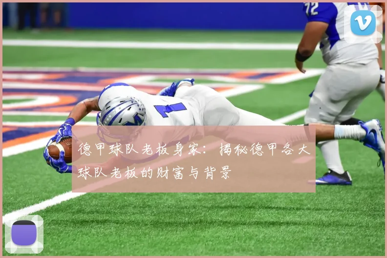 德甲球队老板身家:揭秘德甲各大球队老板的财富与背景