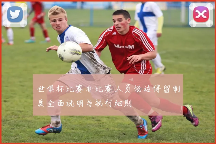 世俱杯比赛非比赛人员场边停留制度全面说明与执行细则