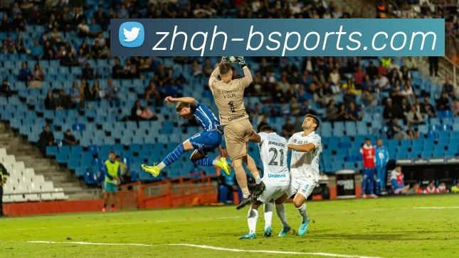 B体育Bsports平台生态图